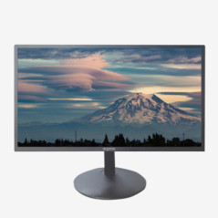 MONITOR APPM19B V2 NEGRO APPROX